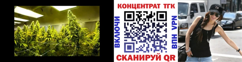 ТГК THC oil  Сосновоборск 
